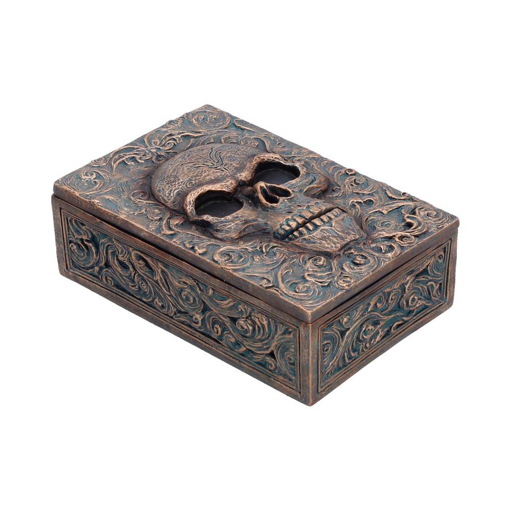 Treasured Remains Skull Trinket Box - alternate angle of aged brown skull and lid