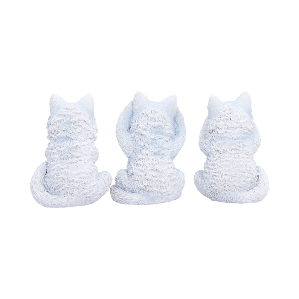 Three Wise Wolf Pups