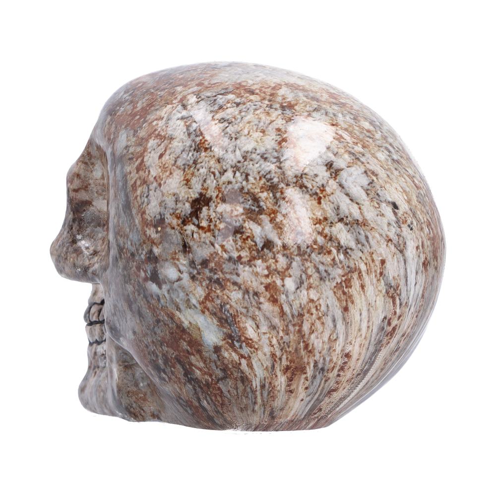 Marble Remains Skull Ornament - rear marbling across the rounded skull crown