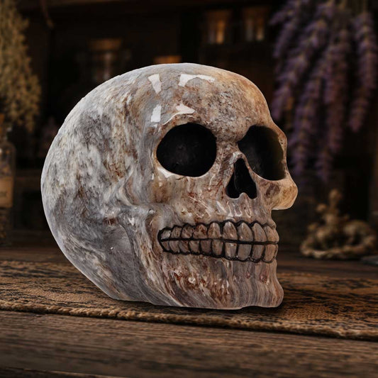 Marble Remains Skull Ornament - marbled skull arranged in a dark gothic display
