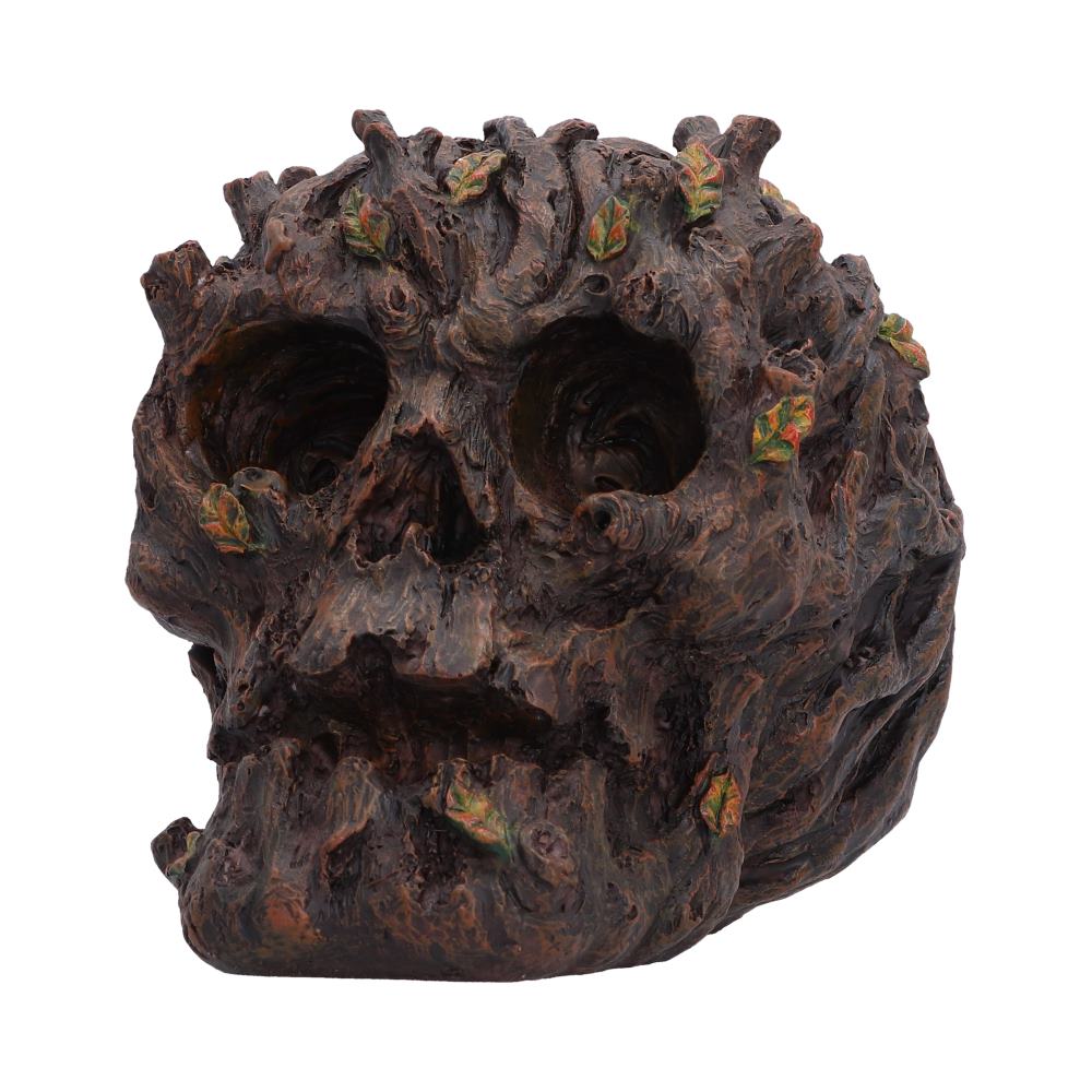 Deadwood Tree Skull Ornament - angled hollow sockets with small coloured leaf details