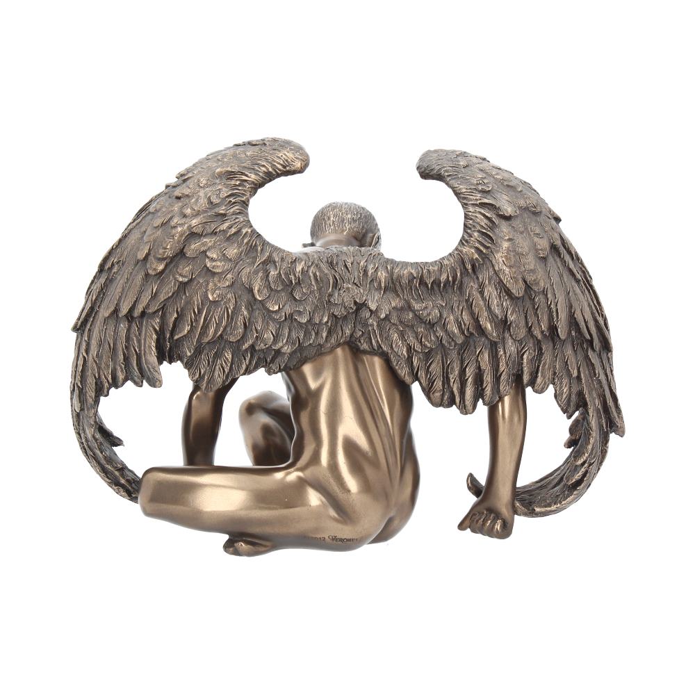 Angels Rest 20cm